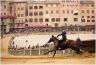 Prove di Addestramento Mattutine: la gallery di Benedetta Aucone
